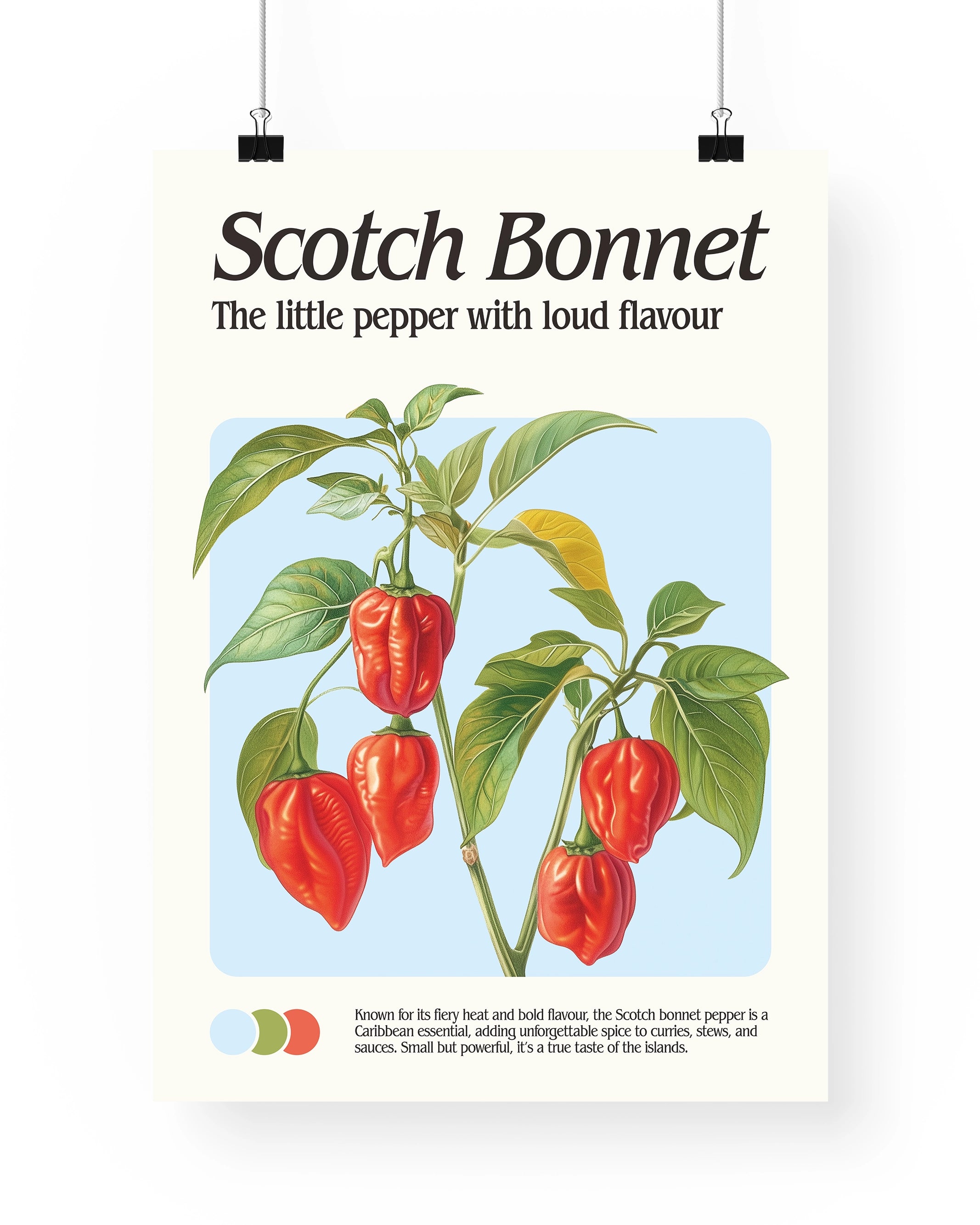 Scotch Bonnet Print