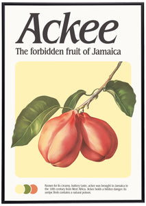 Ackee Print