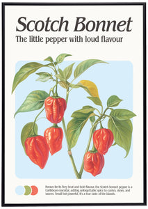 Scotch Bonnet Print