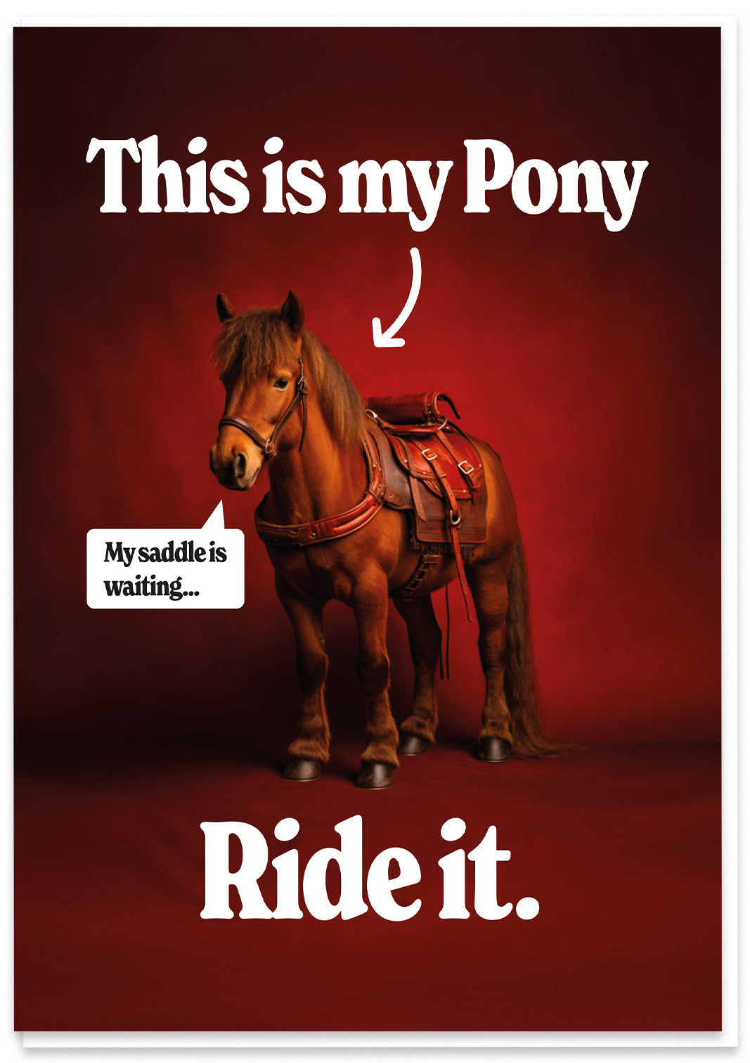 Ride my Pony